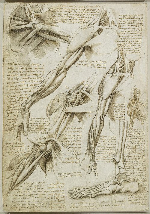 Cum arata O ZI din viata lui Leonardo da Vinci