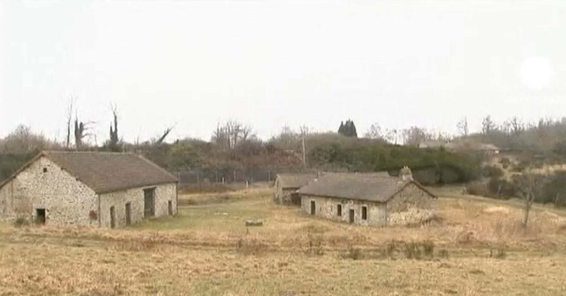 Cat mai costa un CATUN ABANDONAT? :) Vezi cu ce suma IMENSA a fost cumparat VIDEO