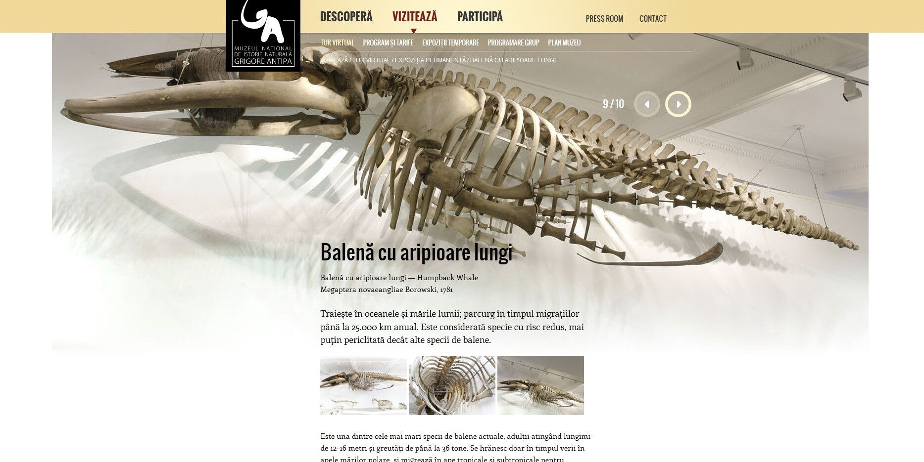 Te invitam la un TUR VIRTUAL: Muzeul Antipa are un nou site
