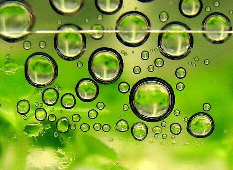 A fost descoperita o posibila reteta pentru "benzina verde" a viitorului
