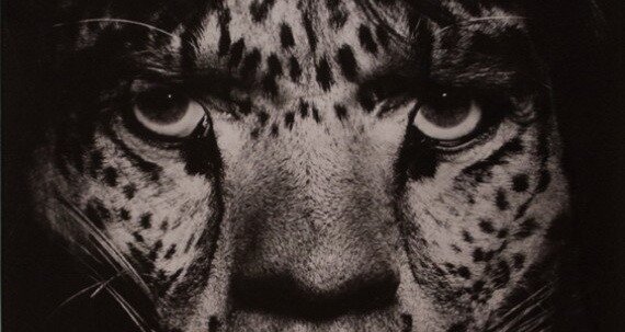 Ai idee cine este in poza? Mick Jagger, Mike Tyson sau Alfred Hitchcock in pictoriale inedite