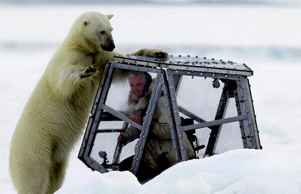 S-a pus in pielea pradei: Un cameraman a vrut sa afle cum este sa fii devorat de un urs polar. A filmat scene incredibile! VIDEO