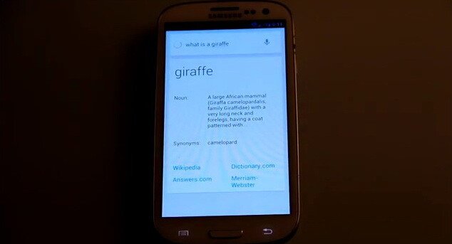Virusul Google care a trecut neobservat aproape 3 luni! VIDEO