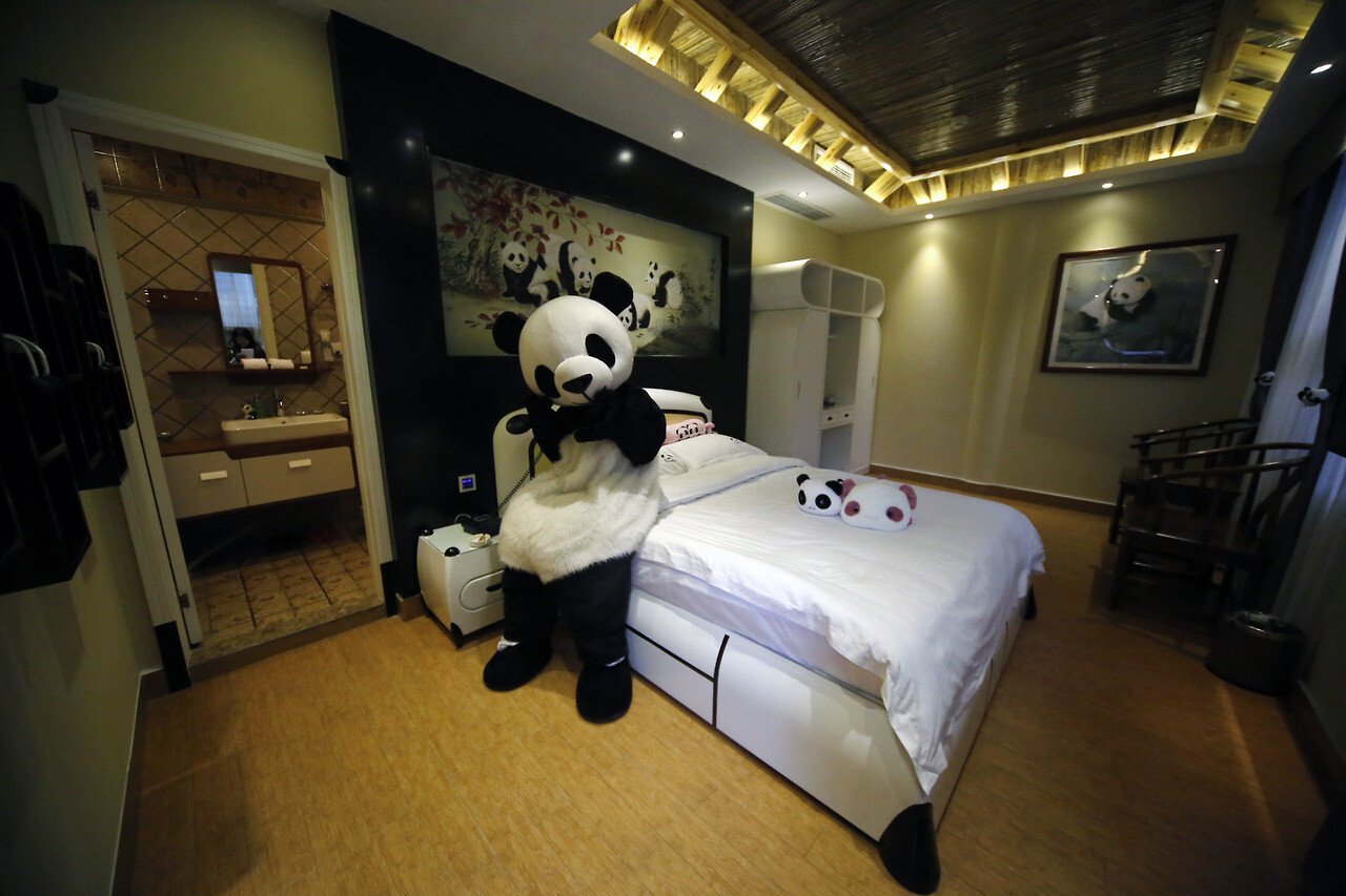 A fost inaugurat primul hotel din lume care are ca tematica ursul panda! VIDEO