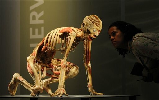 Expozitie controversata la Antipa: "The Human Body", 200 de corpuri umane ajung la Bucuresti :