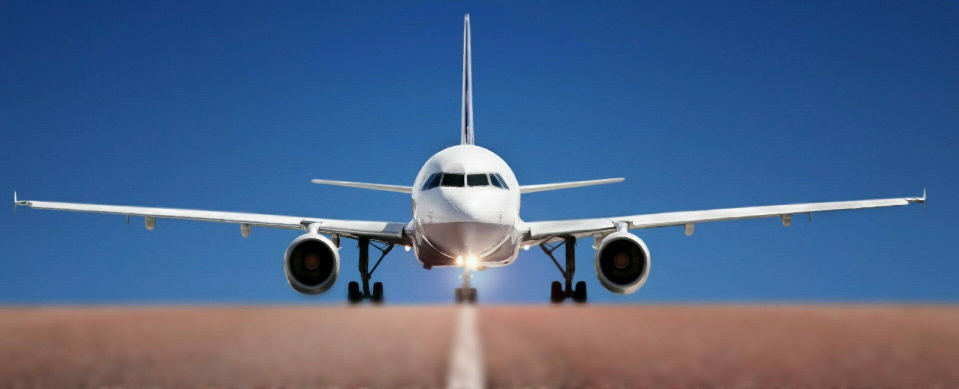 Transporta cai in Brazilia pentru mostenitoarea lui Onassis si castiga 1,3 milioane de dolari pe an