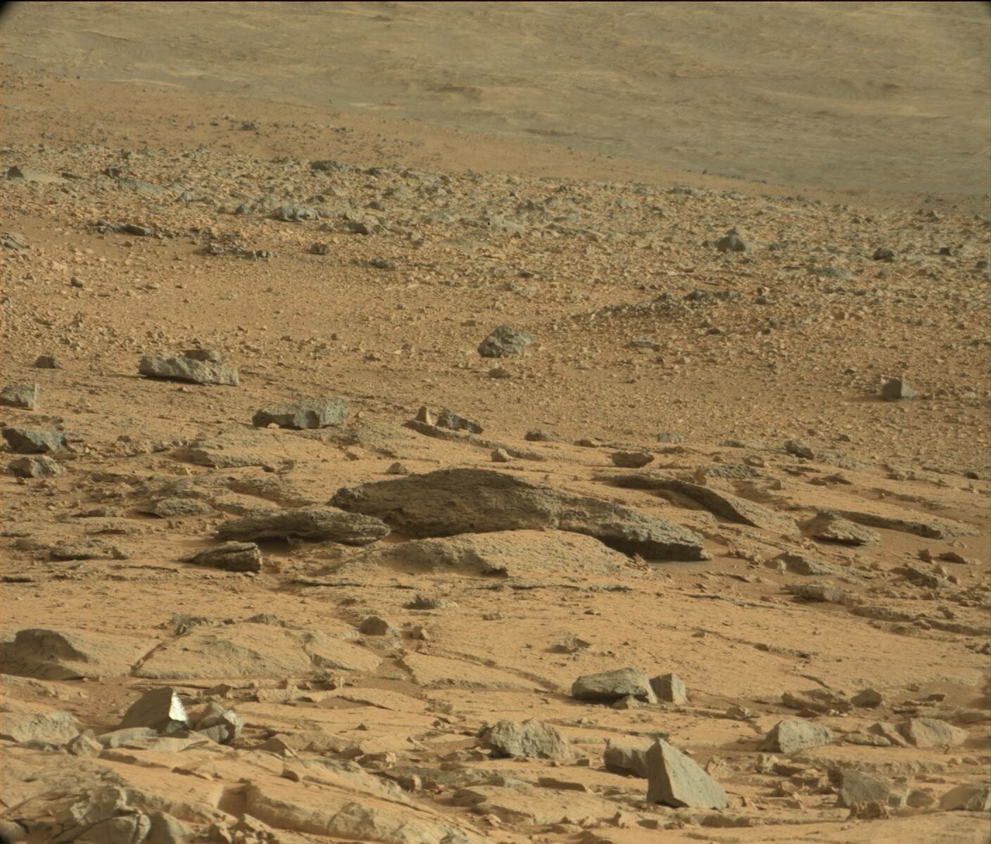 Asa arata "Sobolanul martian": Silueta unei "creaturi" patrupede, descoperita in fotografiile facute pe Marte de roverul Curiosity! FOTO