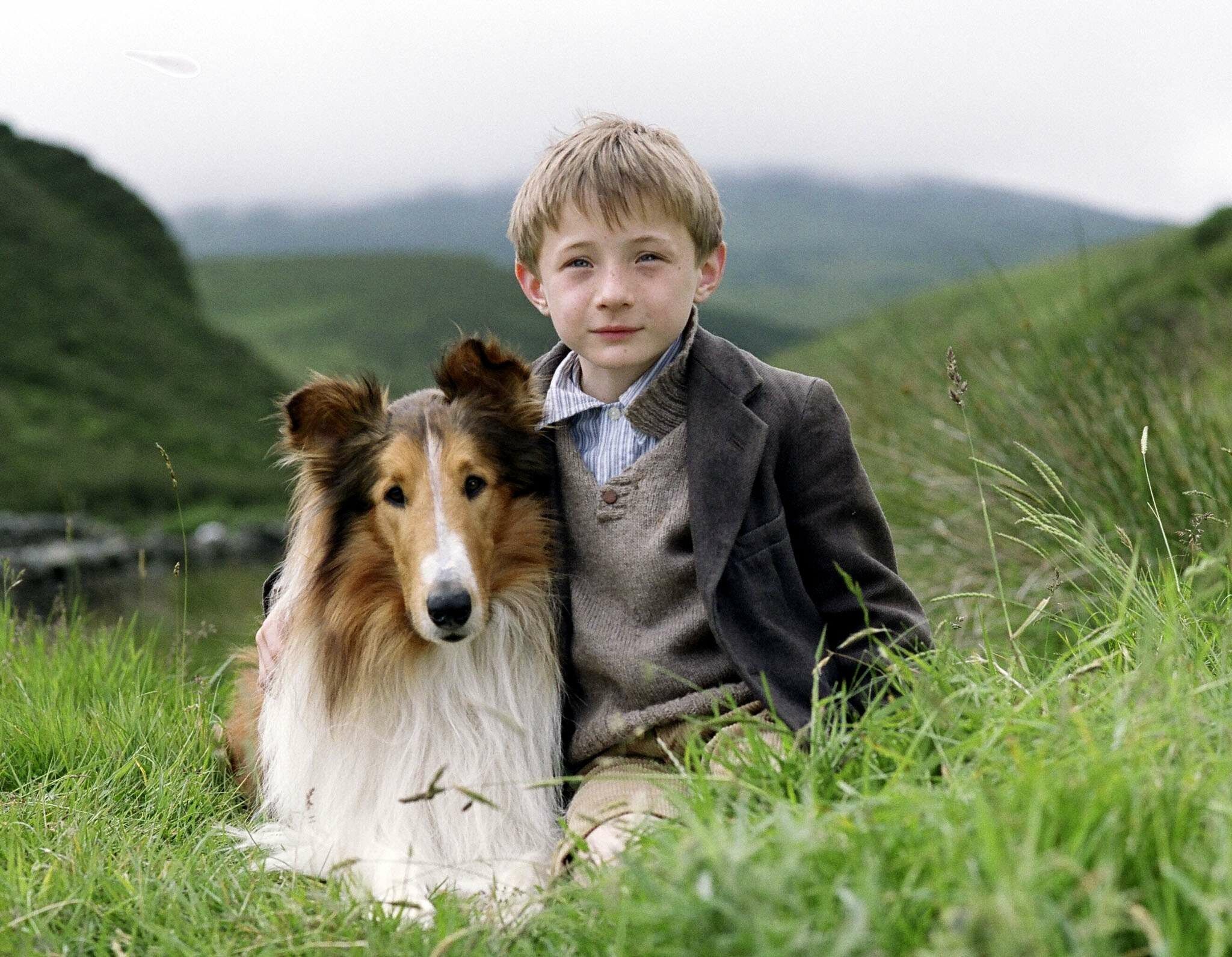Lassie, ocupa primul loc intr-un top al celor mai talentate vedete de televiziune din lumea animalelor!