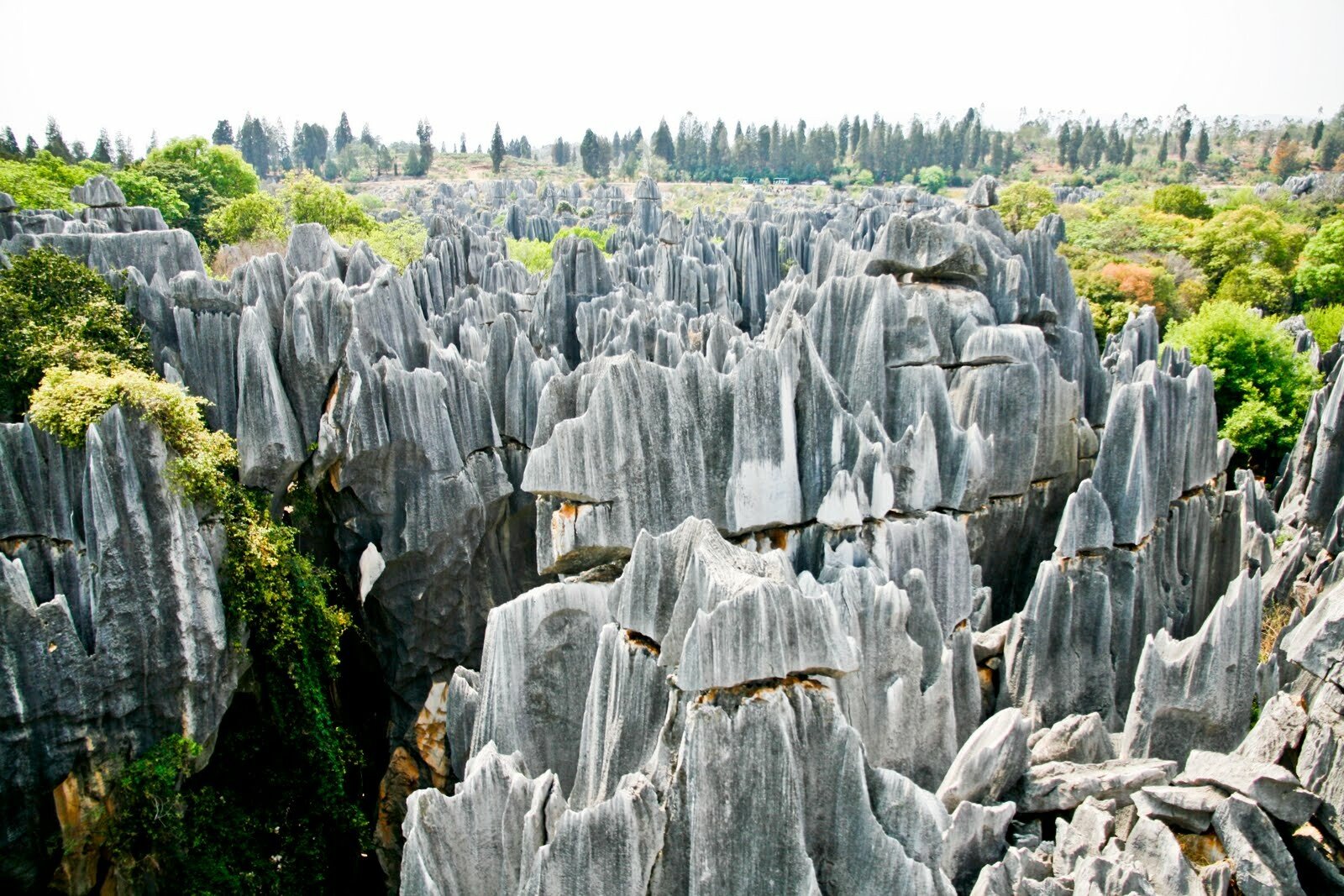 Asa arata "prima minune a lumii" Imagini spectaculoase cu padurea de piatra din China! VIDEO