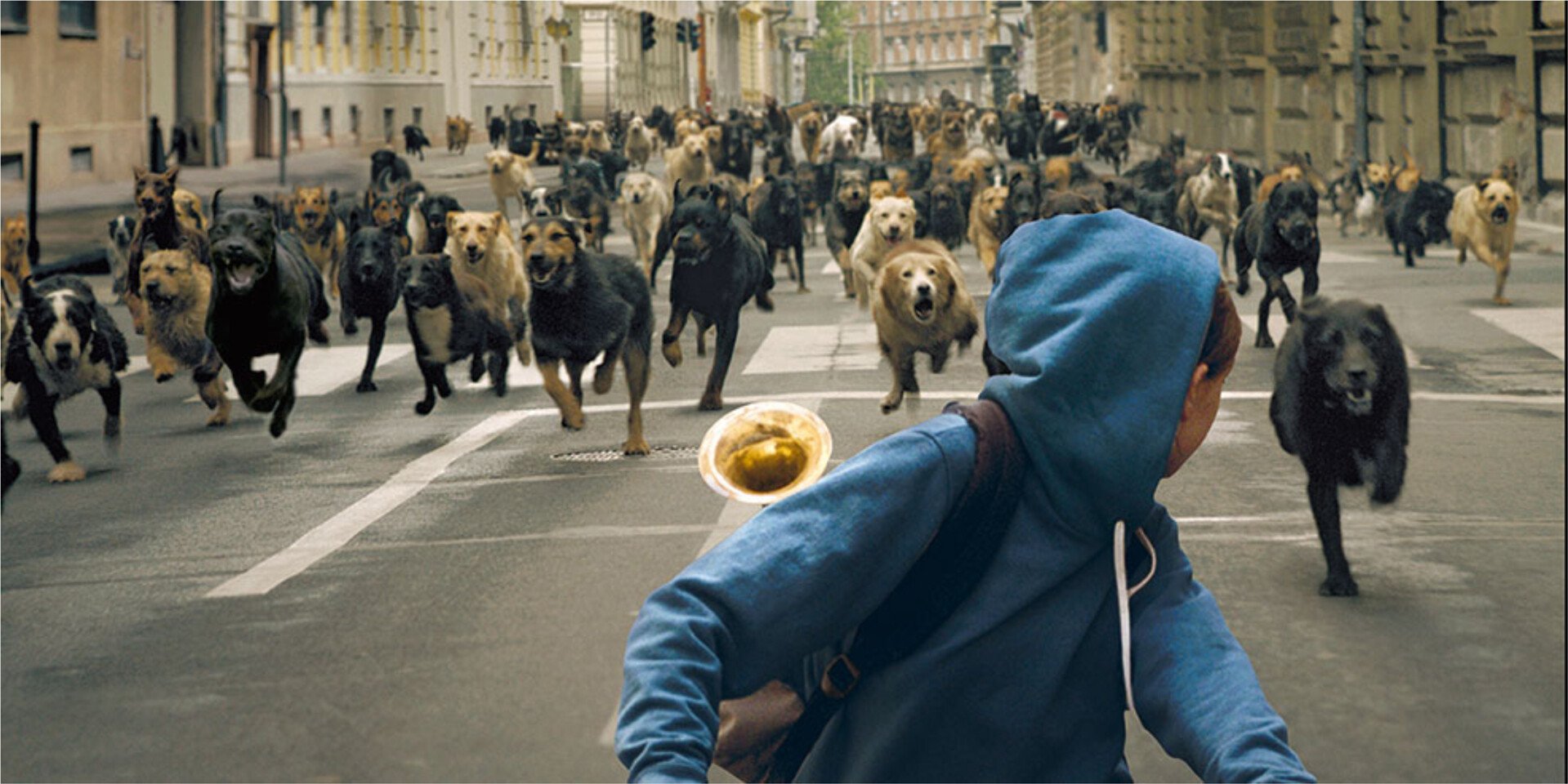 Proiectie pentru oameni si caini: "White God", in inchiderea Les Films de Cannes à Bucarest! FOTO