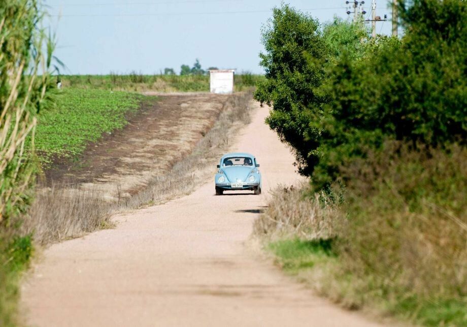 Oferta fabuloasa primita de presedintele Uruguayului de la un seic, pentru Volkswagen-ul Beetle pe care il detine! FOTO