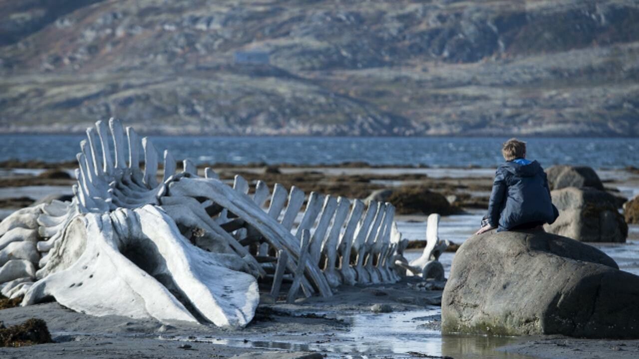 "Leviathan” – filmul anului in Rusia, nominalizat la Oscar, din 13 martie in cinematografe! VIDEO