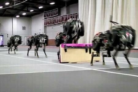 Alearga ca un maratonist si sare singur peste obstacole: Cum arata primul ghepard-robot construit vreodata VIDEO
