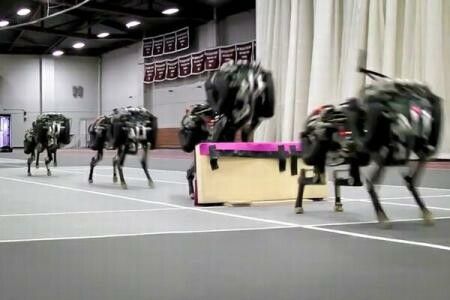 Alearga ca un maratonist si sare singur peste obstacole: Cum arata primul ghepard-robot construit vreodata VIDEO