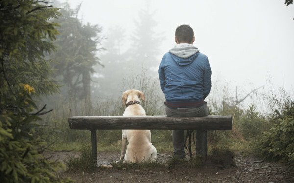 Un barbat devine de 2 ori mai atragator in ochii femeilor daca are un caine: Ce alte detalii le mai impresioneaza pe femei