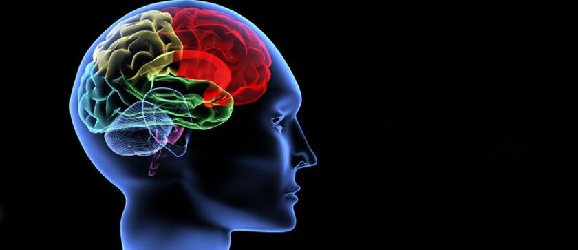 5 hobbiuri care te ajuta sa devii mai inteligent