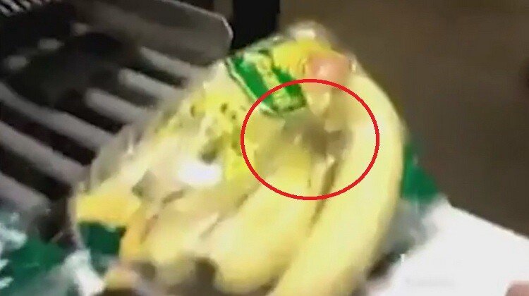 A vrut sa cumpere niste banane de la supermarket, dar s-a ingrozit cand a vazut punga. Ce a descoperit inauntru