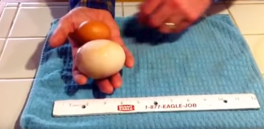 A vrut sa-si faca o omleta, dar a avut parte de o descoperire bizara. Ce a descoperit atunci cand a spart oul: "EGG-ception"