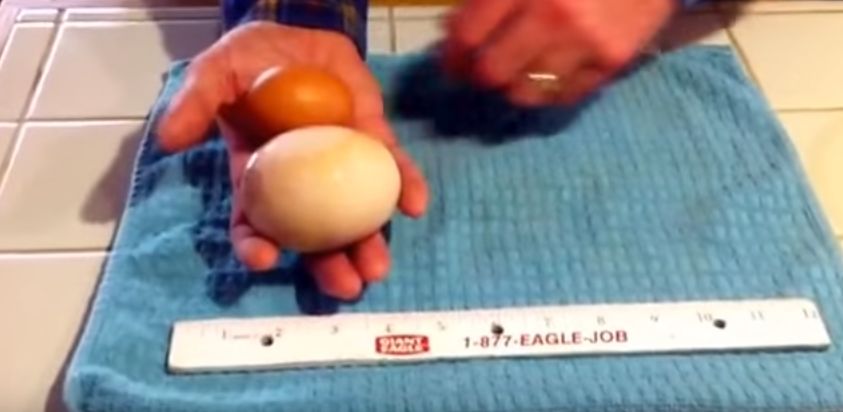 A vrut sa-si faca o omleta, dar a avut parte de o descoperire bizara. Ce a descoperit atunci cand a spart oul: "EGG-ception"
