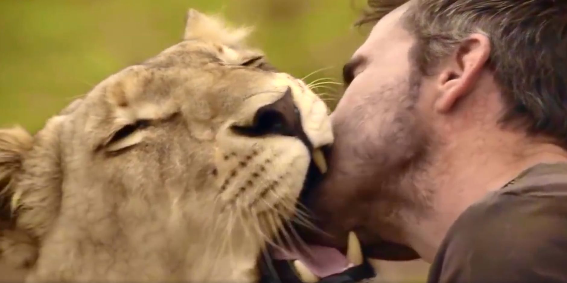 Omul care redefineste "curajul". Poreclit "The Lion Guy", un sudafrican uimeste internetul cu videourile sale