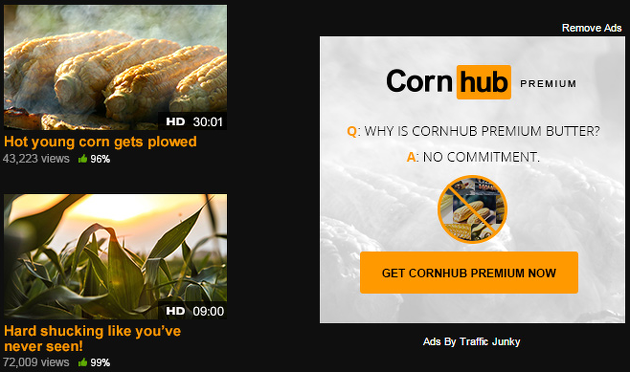 Ce s-a intamplat cu cel mai cunoscut site XXX de 1 aprilie. Farsa geniala :)