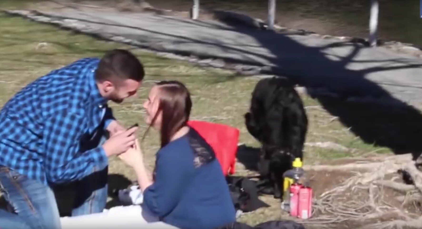 Si-a cerut in casatorie iubita iar aceasta i-a spus "Da"! Ce si-a dat seama in clipa urmatoare