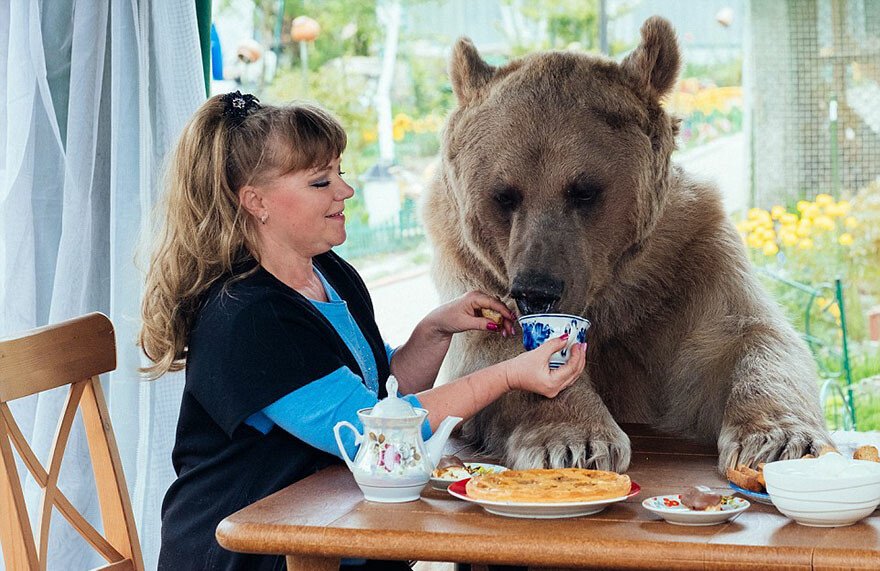 Familia care traieste in casa cu cel mai neasteptat animal de companie: un urs de 400 de kilograme | FOTO