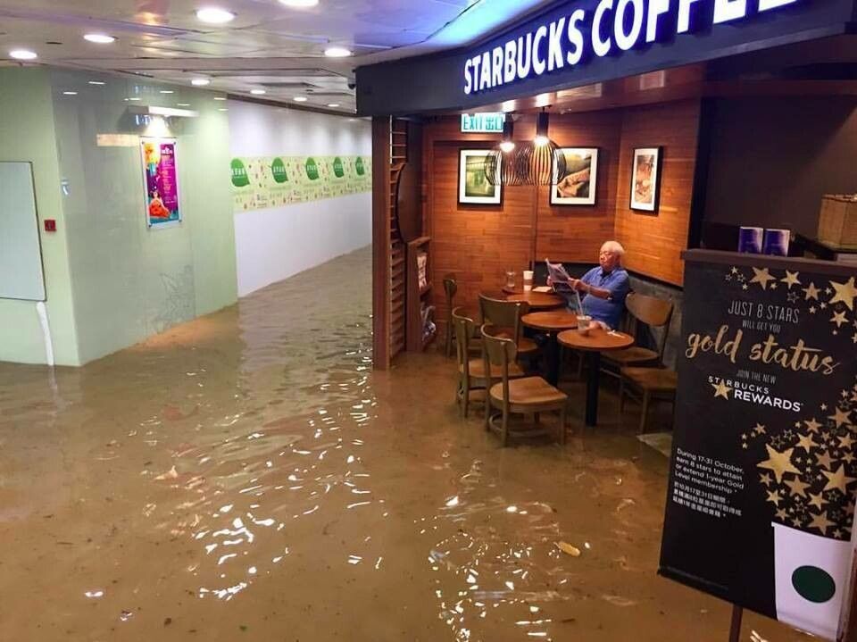 Povestea din spatele imaginii acesteia! Nu este Photoshop! Cum a fost facuta