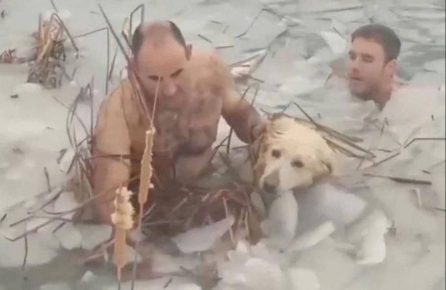 VIDEO Gest de milioane făcut de doi polițiști: Au salvat un câine din apele înghețate