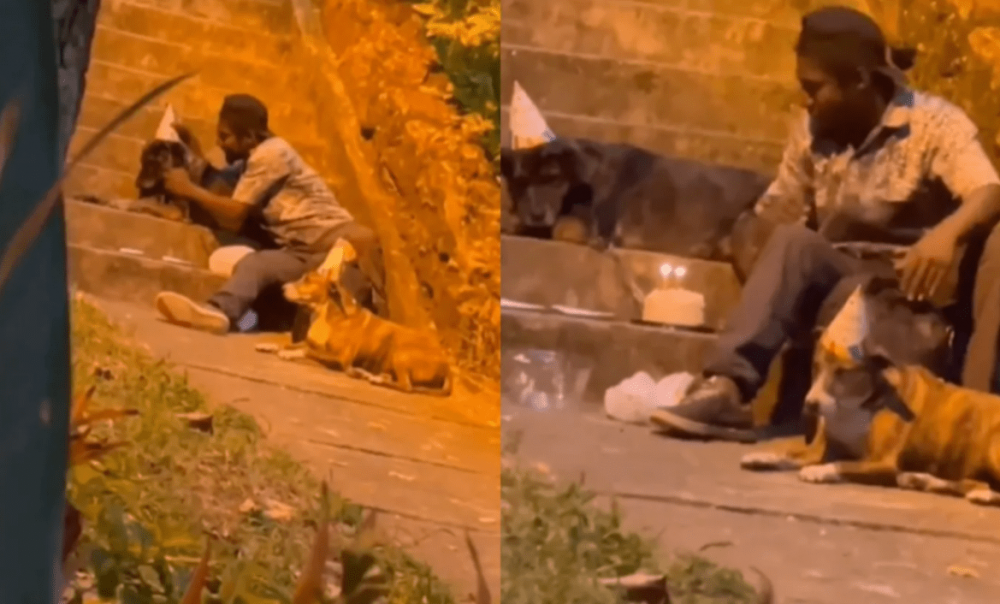 Tânăr fără adăpost, filmat când își sărbătorește câinii cu tort și lumânări. Extraordinar ce s-a întâmplat după! - VIDEO