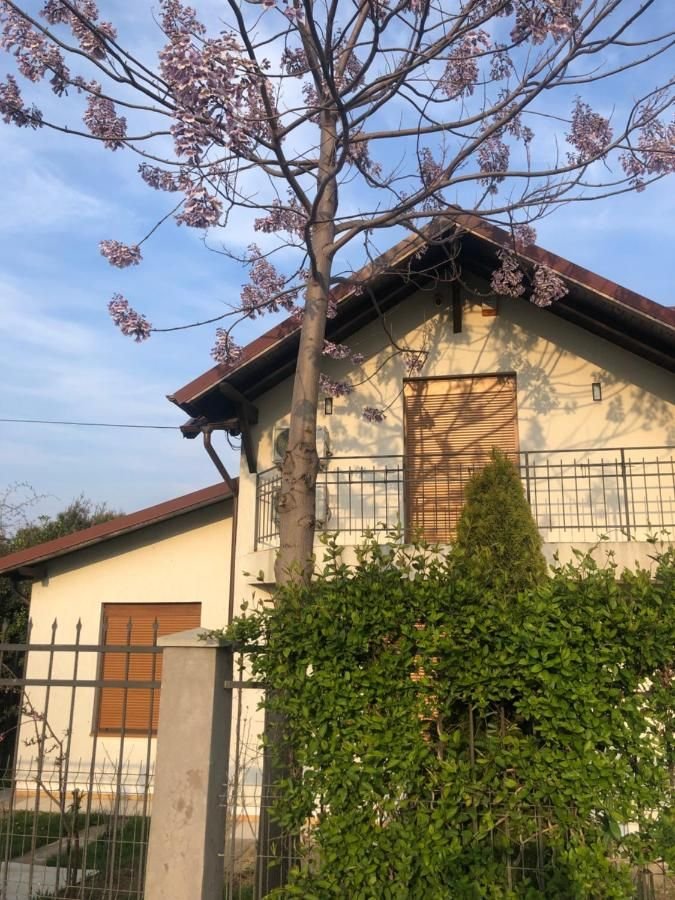 Cât costă o noapte de cazare în vila lui Alexandru Arșinel din stațiunea 2 Mai - FOTO