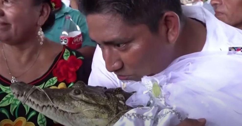 Un primar s-a însurat cu un crocodil. Imagini de la ceremonia exotică- VIDEO