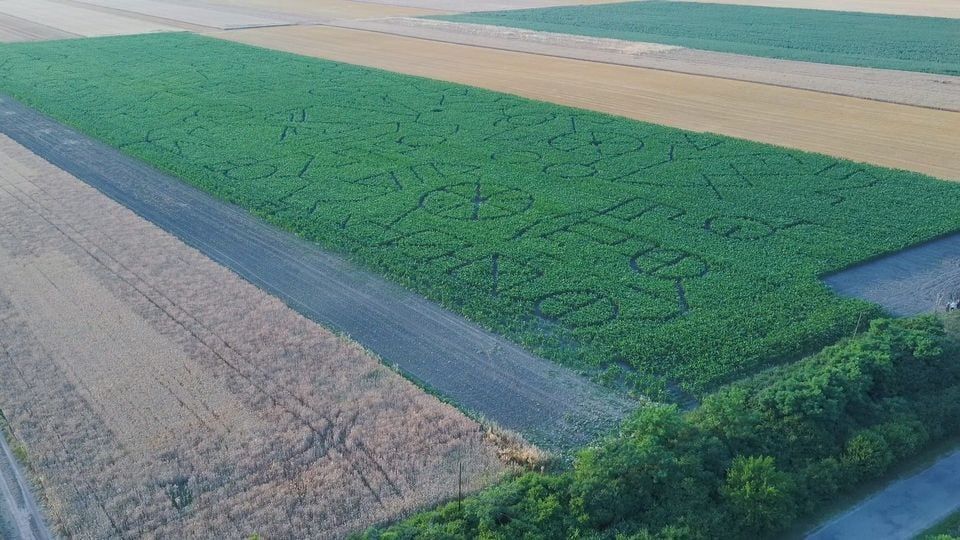 Un labirint de 5,5 km lungime a fost creat într-un lan de porumb, la granița cu România FOTO&VIDEO
