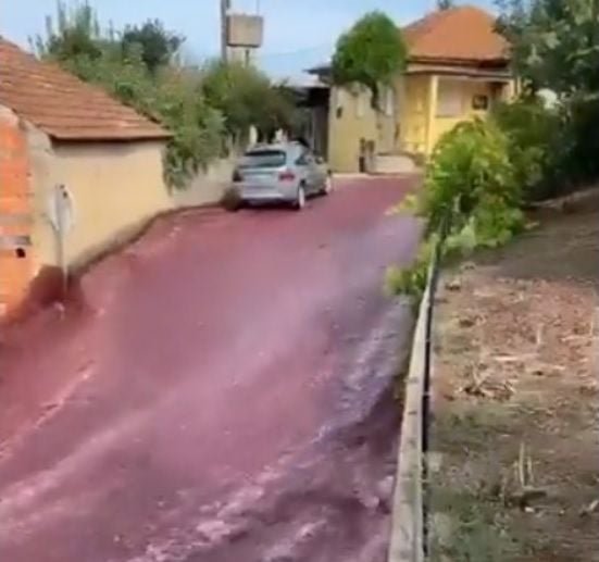 VIDEO - Un sat din Portugalia a fost inundat cu peste 2 milioane de litri de vin roșu. Locuitorii sunt revoltați!