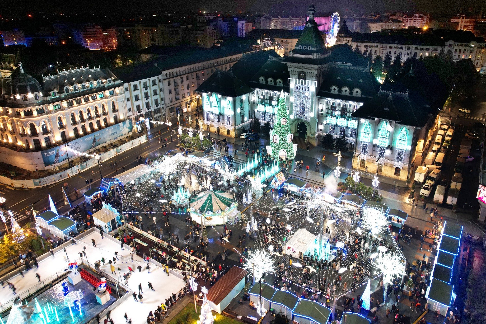 European Best Destinations: Bradul de peste 20 de metri din Craiova, desemnat cel mai frumos din Europa