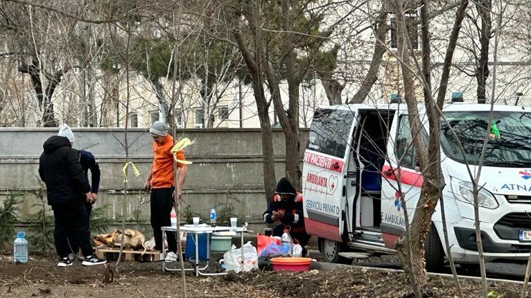 IREAL! Porci descărcați din ambulanță și sacrificați în parc, la Constanța/ Un altul tranșat în sufragerie FOTO&VIDEO